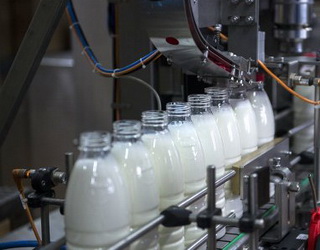 Молока за сім місяців в Україні виробили на 0,9% менше